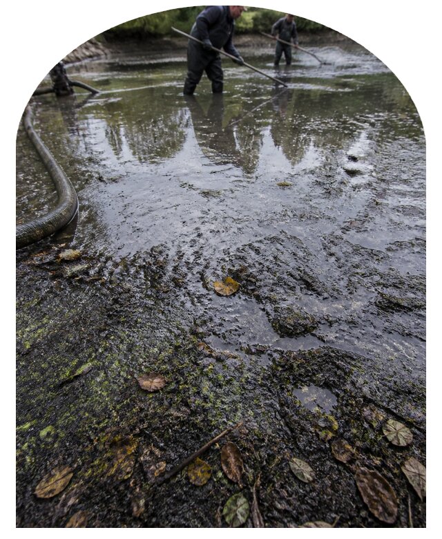 Очистка пруда в Чебаркуле от ила мусора и водорослей с вывозом